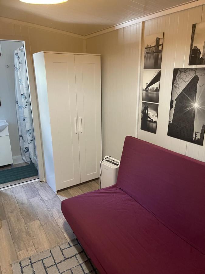 Cozy Studio In Town Center 利马索尔 外观 照片